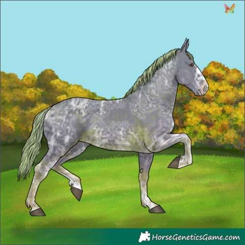Horse Color:Watercolor Chocolate Palomino Ice Sabino 