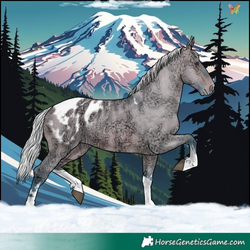 Horse Color:Watercolor White Spotted Silver Brown Ice Dun Tobiano Appaloosa