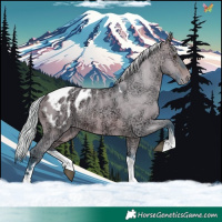 Horse Color:Watercolor White Spotted Silver Brown Ice Dun Tobiano Blanket 