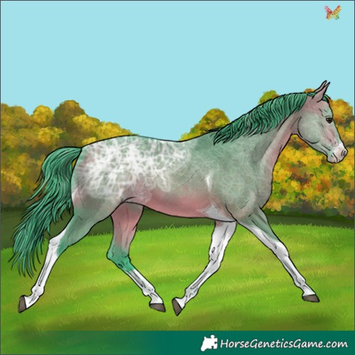 Horse Color:Watercolor Buckskin Ice Dun Sabino Tobiano