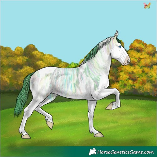 Horse Color:Watercolor White Spotted Buckskin Ice Splash Tobiano 