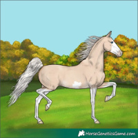 Horse Color:Silver Classic Champagne Dun Splash Frame