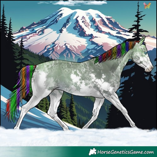 Horse Color:Painted White Spotted Buckskin Ice Sabino Splash 