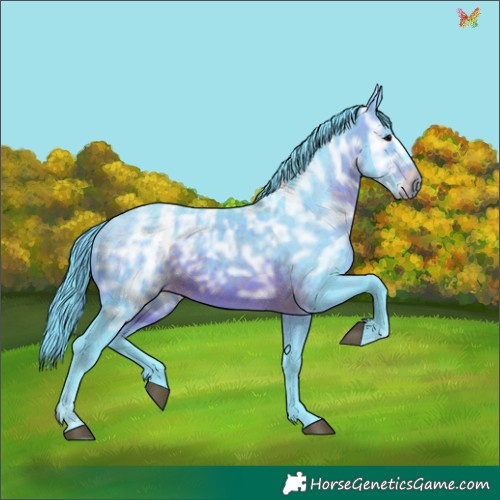 Horse Color:Watercolor White Spotted Brown Ice 