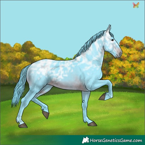 Horse Color:Watercolor White Spotted Brown Ice 