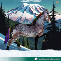 Horse Color:Void Painted Plaid Bay Onyx Sabino Tobiano Snowflake Varnish