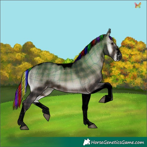 Horse Color:Void Painted Plaid  White Spotted Brown Onyx Tobiano Appaloosa 