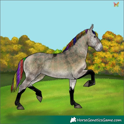 Horse Color:Void Painted Plaid  White Spotted Buckskin Onyx Tobiano 
