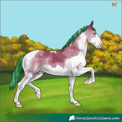 Horse Color:Painted Watercolor Liver Chestnut Sabino Splash Tobiano 