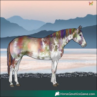 Horse Color:Painted Nacre White Spotted Silver Brown Onyx  and Painted Nacre White Spotted Red Onyx 