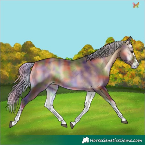 Horse Color:Nacre Silver Brown Onyx Splash Varnish 