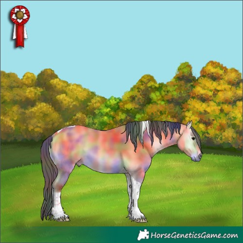 Horse Color:Nacre Buckskin Onyx Tobiano 