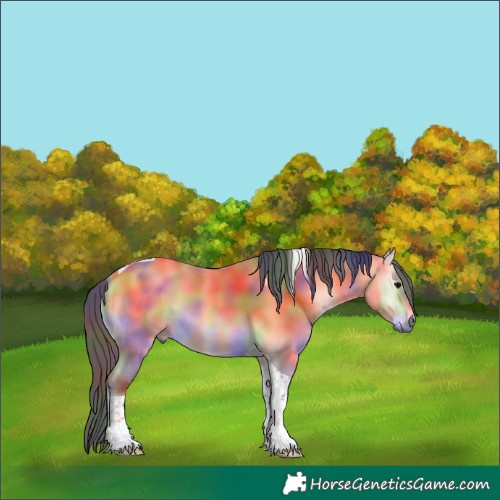 Horse Color:Nacre Buckskin Onyx Tobiano 