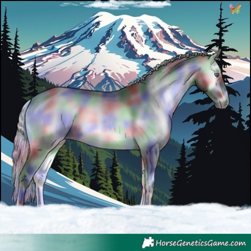 Horse Color:Nacre Silver Buckskin Chinchilla Onyx 