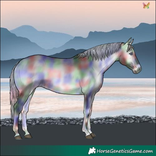 Horse Color:Nacre Silver Buckskin Chinchilla Onyx