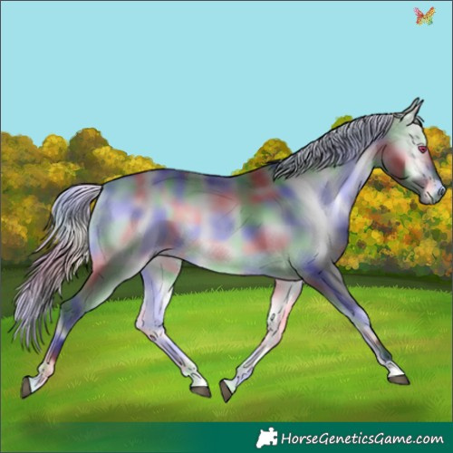 Horse Color:Nacre Silver Buckskin Chinchilla Onyx 