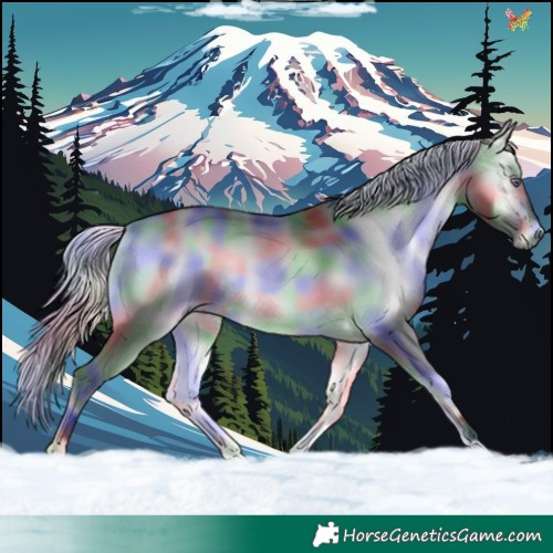 Horse Color:Nacre Silver Buckskin Chinchilla Onyx