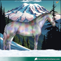 Horse Color:Nacre Silver Buckskin Chinchilla Onyx