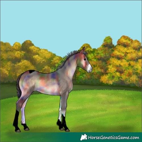 Horse Color:Nacre Brown Onyx Tobiano 