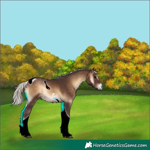 Horse Color:Silver Brown Onyx Tobiano
