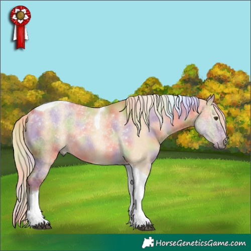 Horse Color:Nacre Palomino Dun Tobiano Rabicano 