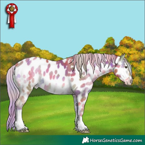 Horse Color:Nacre Gold Champagne Onyx Tobiano Near Leopard 