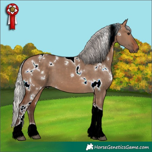 Horse Color:White Spotted Silver Bay Dun Tobiano 