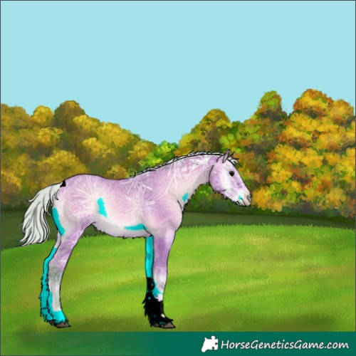 Horse Color:Watercolor Silver Brown Ice Onyx Tobiano Rabicano 