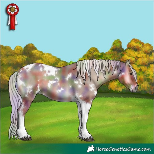 Horse Color:Nacre White Spotted Silver Blue Onyx Tobiano 