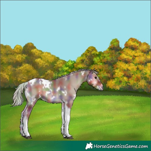 Horse Color:Nacre White Spotted Silver Blue Onyx Tobiano 