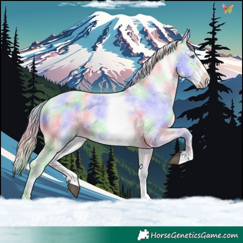 Horse Color:Nacre White Spotted Chocolate Palomino Chinchilla Onyx 