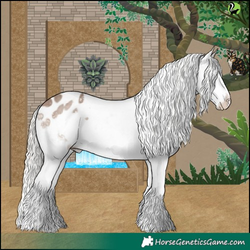 Horse Color:Silver Brown Dun Sabino Splash Appaloosa 