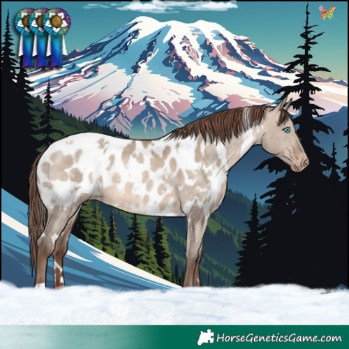 Horse Color:White Spotted Sable Champagne Dun Blanket 