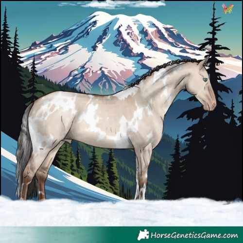 Horse Color:White Spotted Sable Champagne Dun 