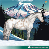 Horse Color:White Spotted Sable Champagne Dun Appaloosa Rabicano 