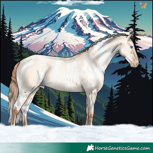 Horse Color:White Spotted Sable Champagne Pearl Dun Rabicano 