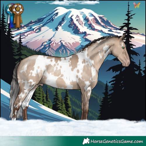 Horse Color:White Spotted Sable Champagne Dun 