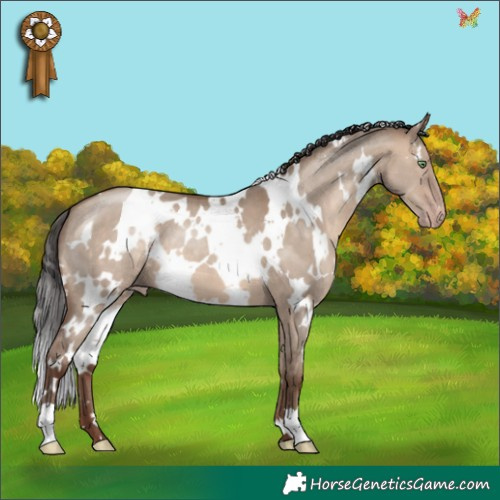 Horse Color:White Spotted Sable Champagne Dun 