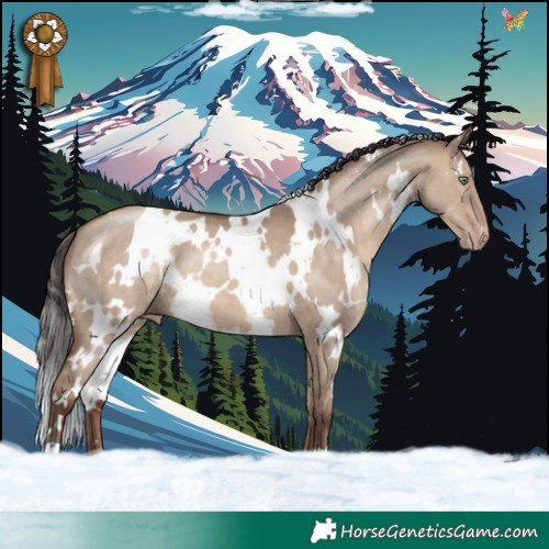 Horse Color:White Spotted Sable Champagne Dun 