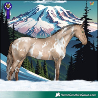 Horse Color:White Spotted Brown Pearl Dun Rabicano 
