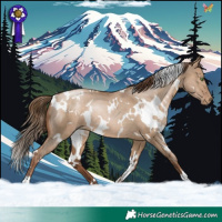 Horse Color:White Spotted Brown Pearl Dun Rabicano 