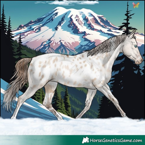 Horse Color:White Spotted Brown Pearl Dun Blanket Rabicano 