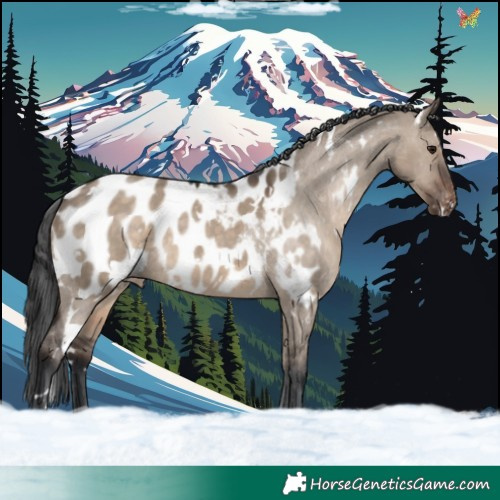 Horse Color:White Spotted Brown Dun Blanket Rabicano 