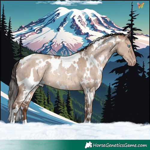 Horse Color:White Spotted Sable Champagne Dun Rabicano 