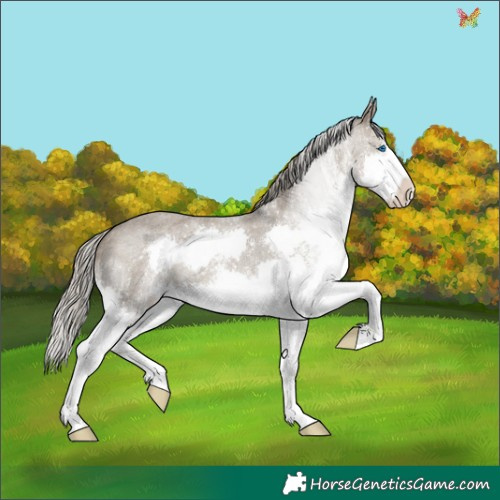 Horse Color:White Spotted Silver Smoky Grullo Roan Mushroom Splash 