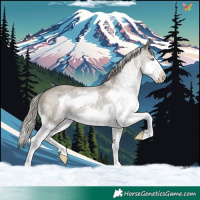 Horse Color:White Spotted Silver Smoky Grullo Roan Mushroom Splash