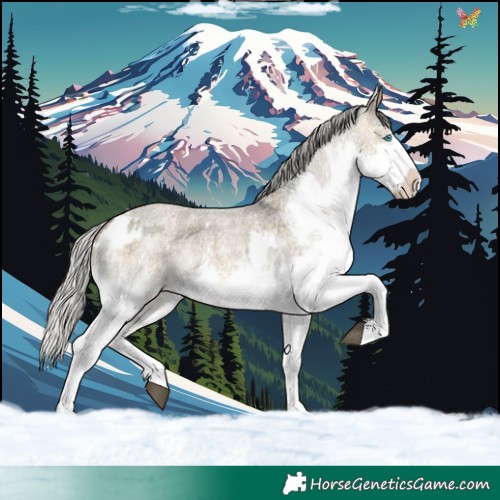 Horse Color:Silver Buckskin Roan Dun Mushroom Sabino Splash Rabicano  and White Spotted Silver Smoky Grullo Roan Mushroom Splash Frame Rabicano 