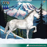 Horse Color:Silver Buckskin Roan Dun Mushroom Sabino Splash Rabicano  and White Spotted Silver Smoky Grullo Roan Mushroom Splash Frame Rabicano 