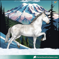 Horse Color:Silver Buckskin Roan Dun Mushroom Sabino Splash Rabicano and White Spotted Silver Smoky Grullo Roan Mushroom Splash Frame Rabicano