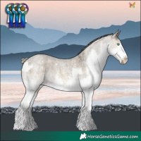 Horse Color:Silver Buckskin Roan Dun Mushroom Sabino Splash Rabicano and White Spotted Silver Smoky Grullo Roan Mushroom Splash Frame Rabicano